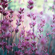 Incredible Attention to Detail!